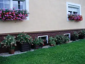 Fuksie