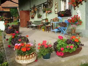 muškatek — 19. července 2012