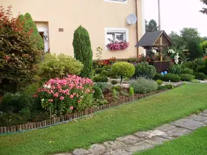 muškatek — 19. července 2012
