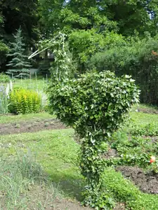 sud — 14. června 2010