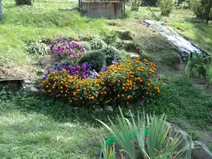 zhbobo — 21. července 2012