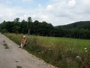 iris66 — 22. července 2012