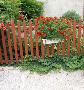iris66 — 25. července 2012
