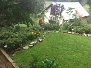 Co jsem nevyplela, to vyrostlo