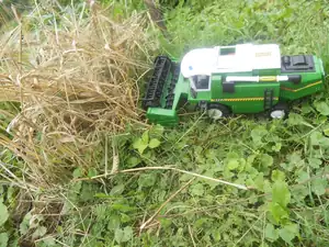 Po velikonocích zasazené velik.osení dozrálo..