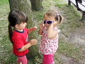 počkej,máš je na křivo