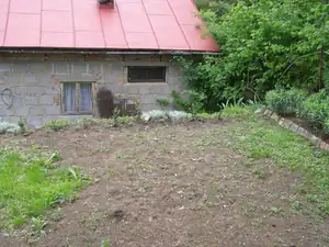 ...a tady slunečnice, lilie, sléz, rozmarýna, afrikány...