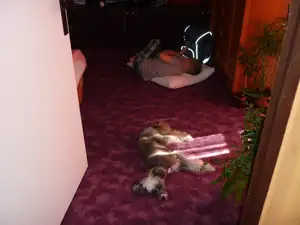 Unava po žehlení