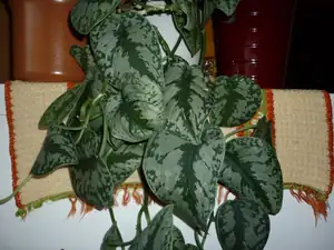 emilka12 — 3. srpna 2012