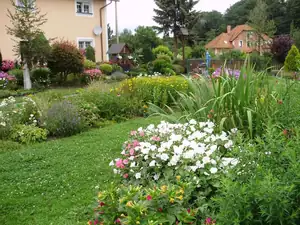 muškatek — 3. srpna 2012