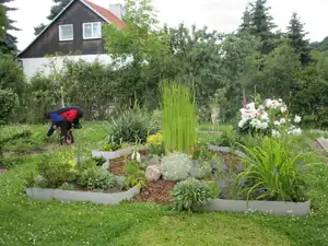 Pozadí (zahrady)