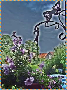 MOTÝL