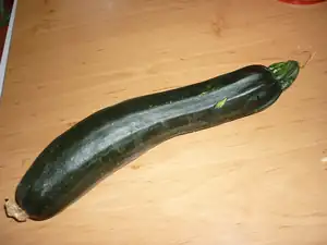 ,MOJE URODA