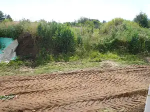 Loan — 21. června 2010