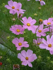 Milada Gerbera — 12. srpna 2012