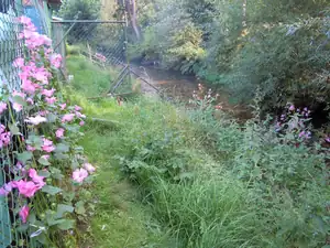 Potůček