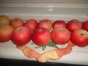 Letos je jich hodně