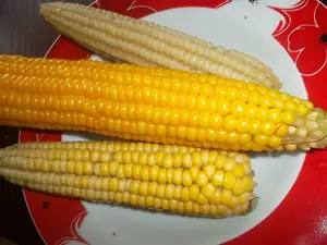 Slaná vařená
