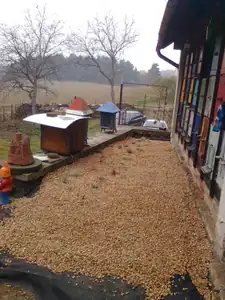 ...přivezli jsme kačírek...