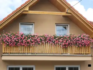 Porostly? Letos je tahám očima 🙂
