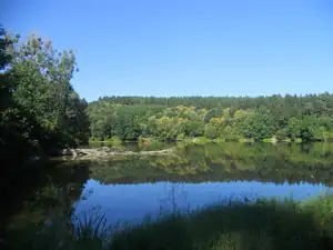 Lesy se začínají díky suchu předčasně barvit