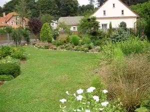 muškatek — 21. srpna 2012