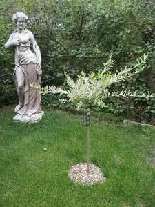 sud — 1. září 2012