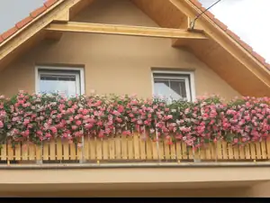 Snad opět poskočily 🙂