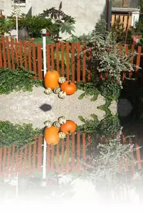 zrcadlení