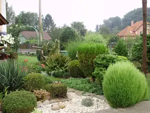 muškatek — 10. září 2012