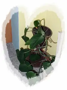 iris66 — 17. září 2012