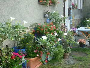 kyti5 — 18. září 2012