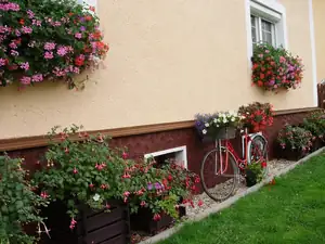 Září