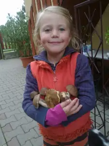 sud — 25. září 2012