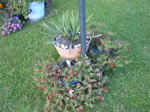 miliony skončily na zemi než je vyhodím