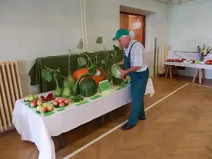 kosnikovna — 1. října 2012