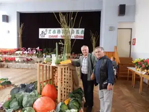kosnikovna — 1. října 2012