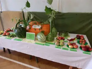 kosnikovna — 1. října 2012
