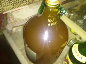 mošt s křenem