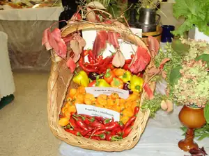 muškatek — 5. října 2012