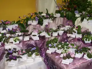 muškatek — 5. října 2012