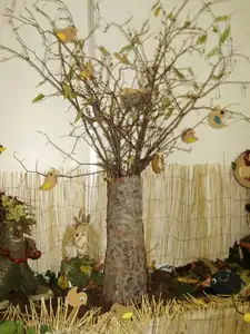 muškatek — 5. října 2012