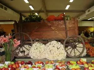 muškatek — 5. října 2012