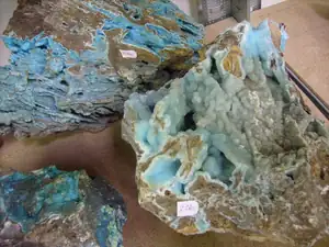 iris66 — 14. října 2012