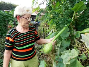 kosnikovna — 15. října 2012