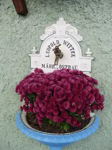 Hurá tak už jdou přidat fotky.