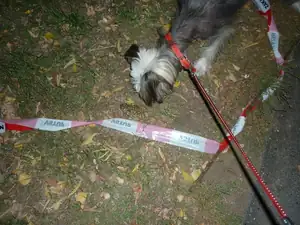 emilka12 — 15. října 2012