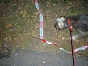 emilka12 — 15. října 2012