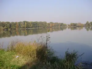 muškatek — 21. října 2012