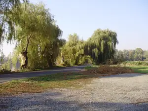 muškatek — 21. října 2012